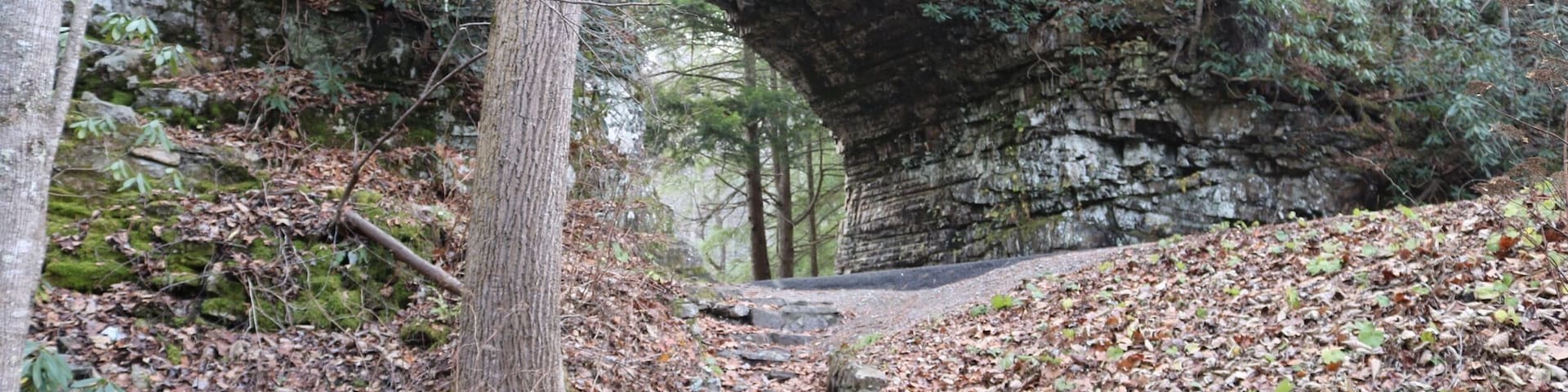 I've been told this is the shortest tunnel in the world. Located on Tennessee State route 133 approximately 2-3 miles from the Virginia-Tennessee state line.
