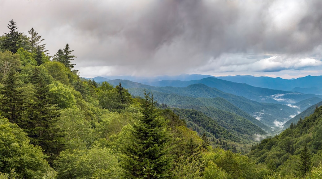 Thick morning clouds roll over the blue ridges of the Appalachian Range in Great Smoky Mountains National Park near the border of North Carolina and Tennessee. Shot from the Oconoluftee Overlook