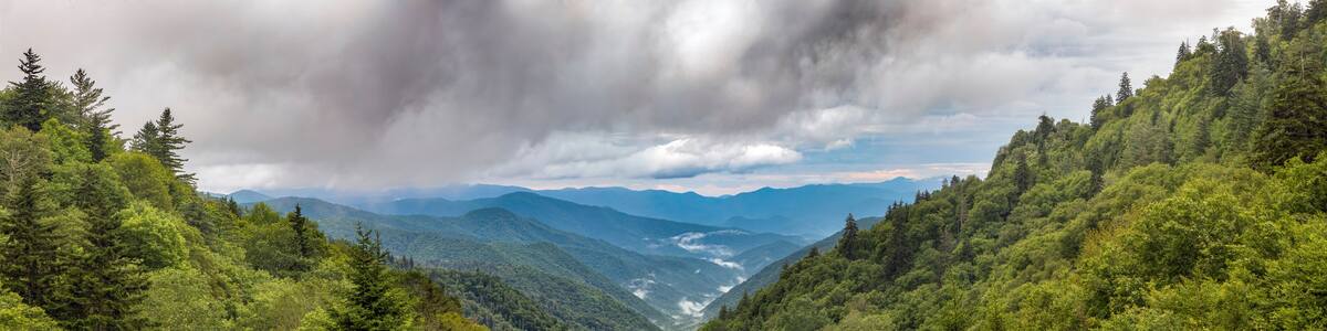 Thick morning clouds roll over the blue ridges of the Appalachian Range in Great Smoky Mountains National Park near the border of North Carolina and Tennessee. Shot from the Oconoluftee Overlook
