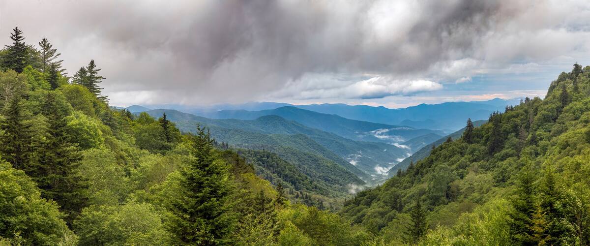 A valley with dense forest and mountains in the background.