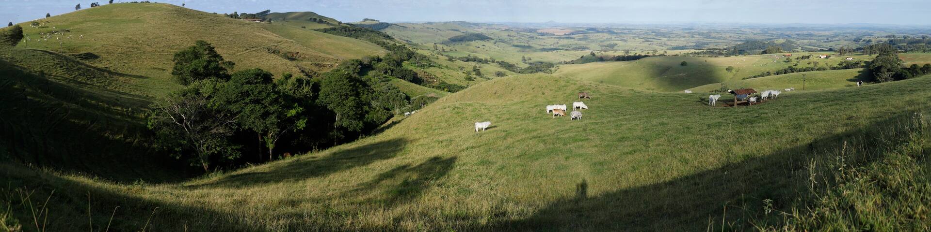 Panorama de paisagem do município de Quatiguá, Paraná, Brazil, com uma grande visão do horizonte com montanhas verdes, pastagem com alguns animais e céu azul com nuvens ao fundo.