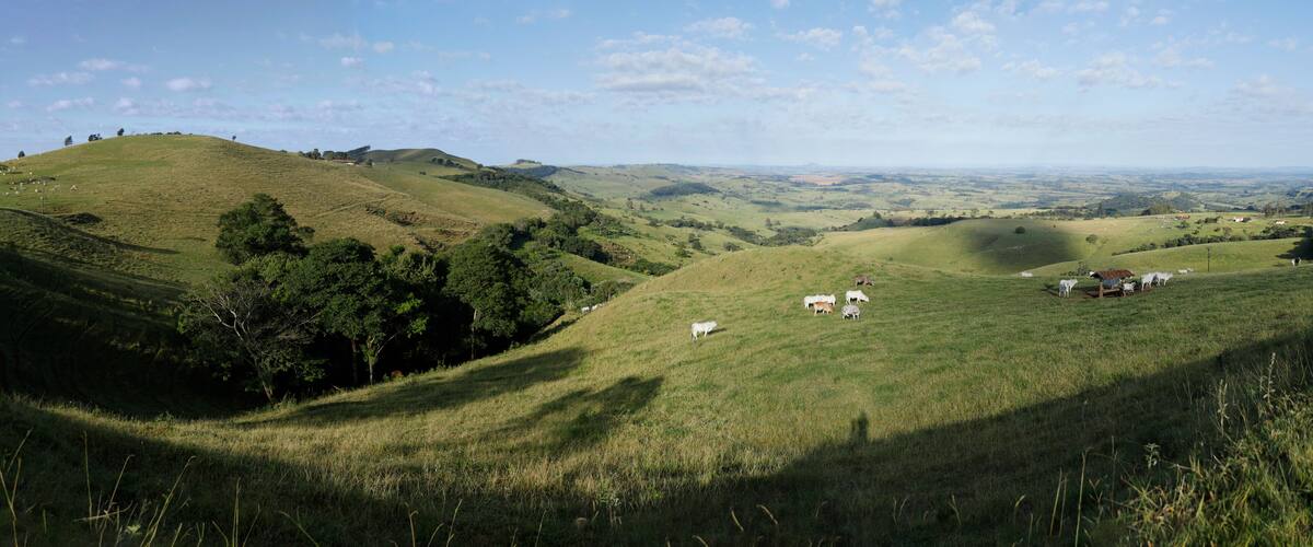 Rolling hills, grazing sheep, and a distant view of the countryside.
