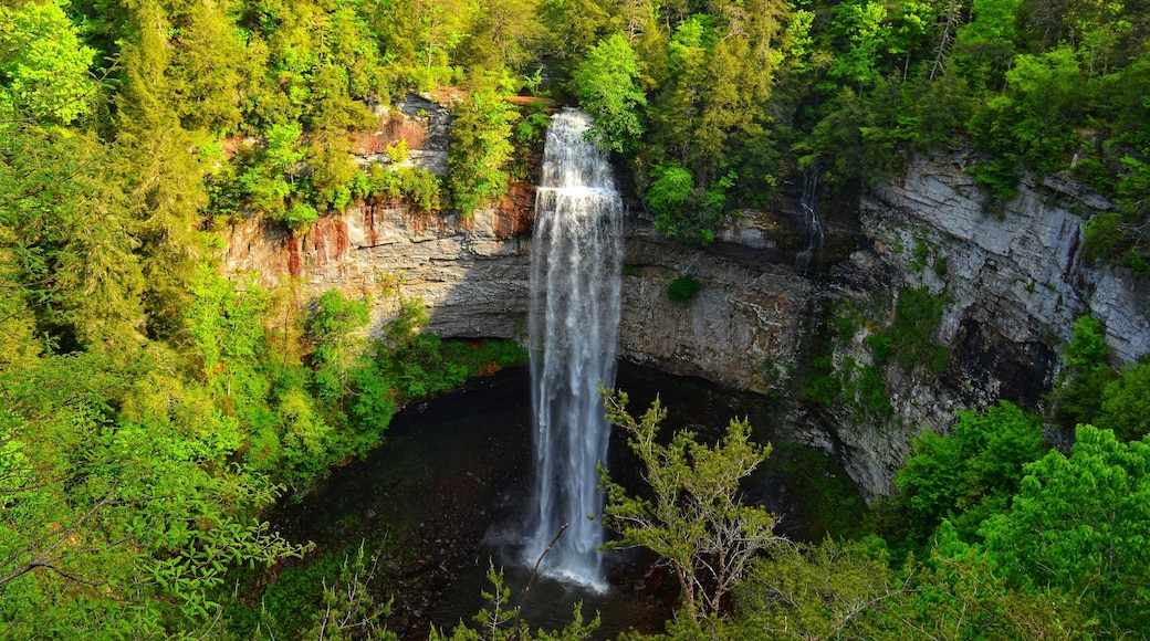 The park's namesake is the 256-foot (78 m) Fall Creek Falls, the highest free-fall waterfall east of the Mississippi River.