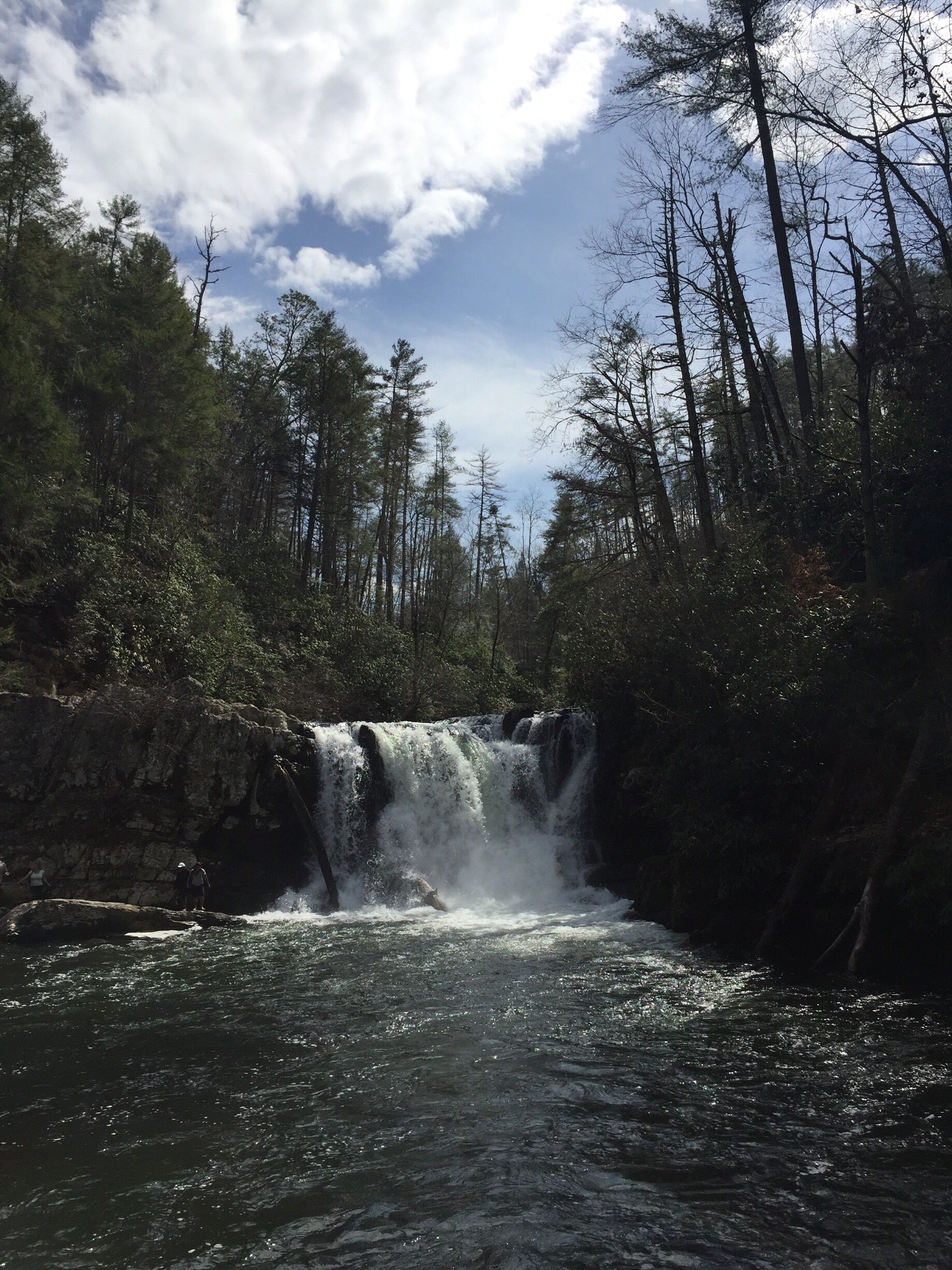 It's been over 25 years...