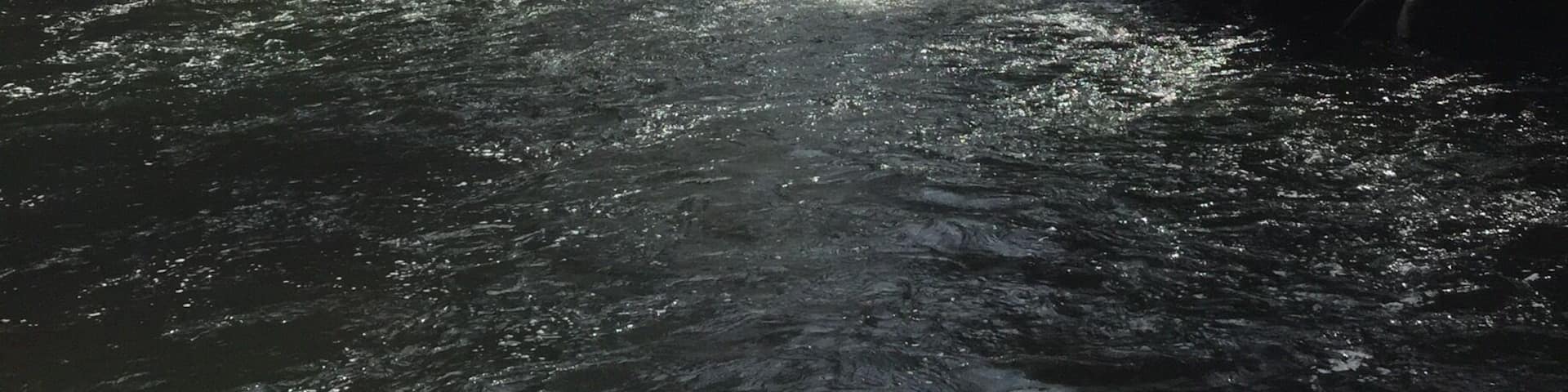 It's been over 25 years...