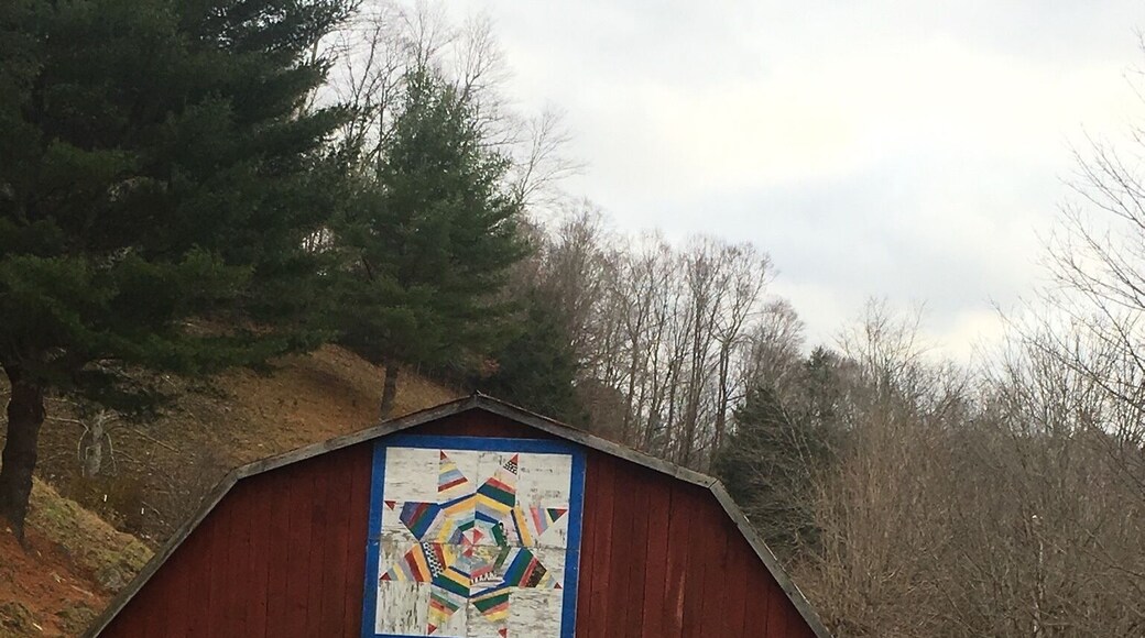 This is my favorite picture from this project. I think this is my favorite because of the beautiful barn art. This barn was the first thing you saw when pulling into this man’s driveway. I found it funny because this isn't something you would usually see when first pulling into someones drive way, but it didn't look out of place in this environment. I think the people of Appalachia are proud of things like this because it is a part of their history, it has character. #appalachianechos