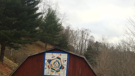 This is my favorite picture from this project. I think this is my favorite because of the beautiful barn art. This barn was the first thing you saw when pulling into this man’s driveway. I found it funny because this isn't something you would usually see when first pulling into someones drive way, but it didn't look out of place in this environment. I think the people of Appalachia are proud of things like this because it is a part of their history, it has character. #appalachianechos