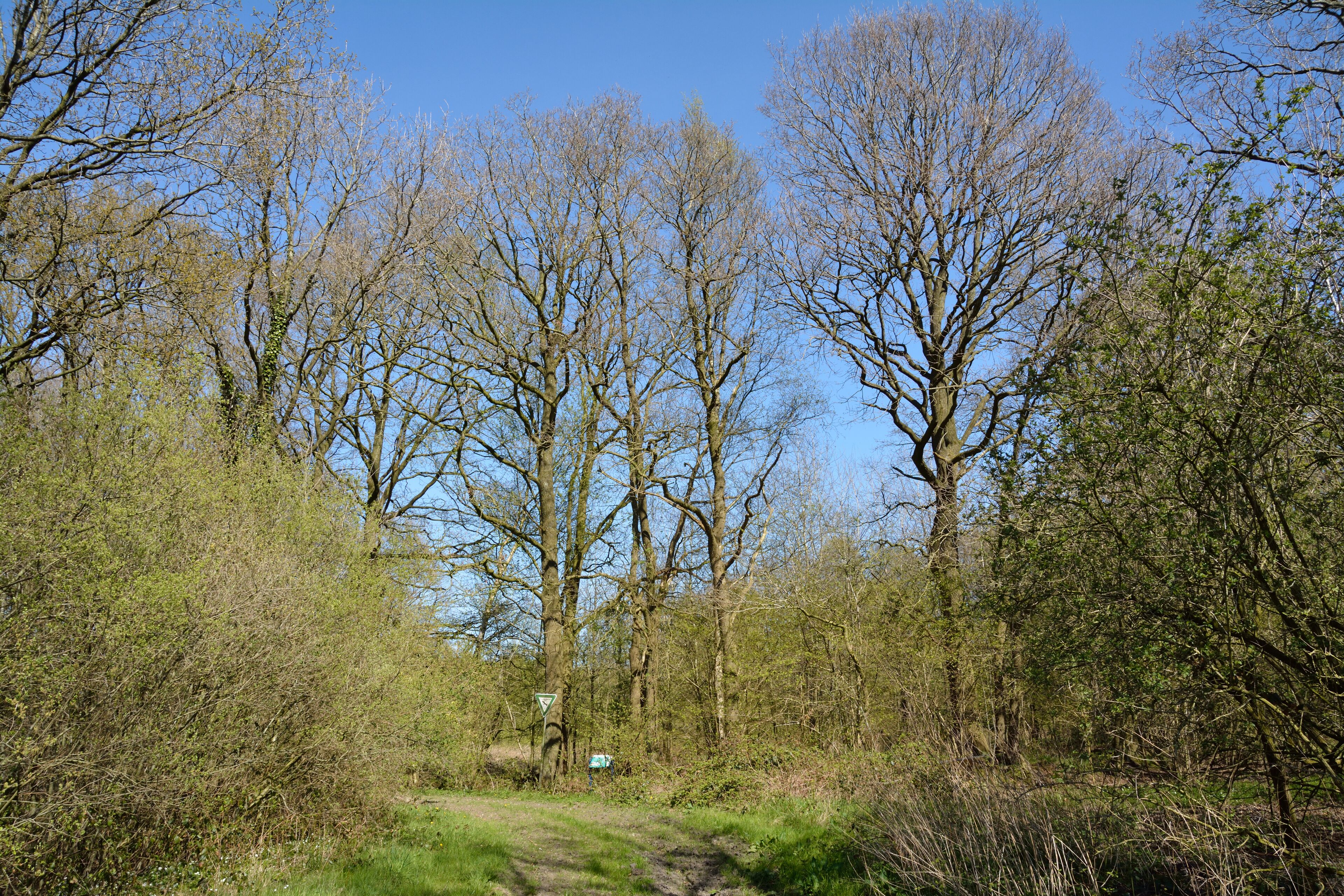 This is a picture of the protected area listed at WDPA under the ID