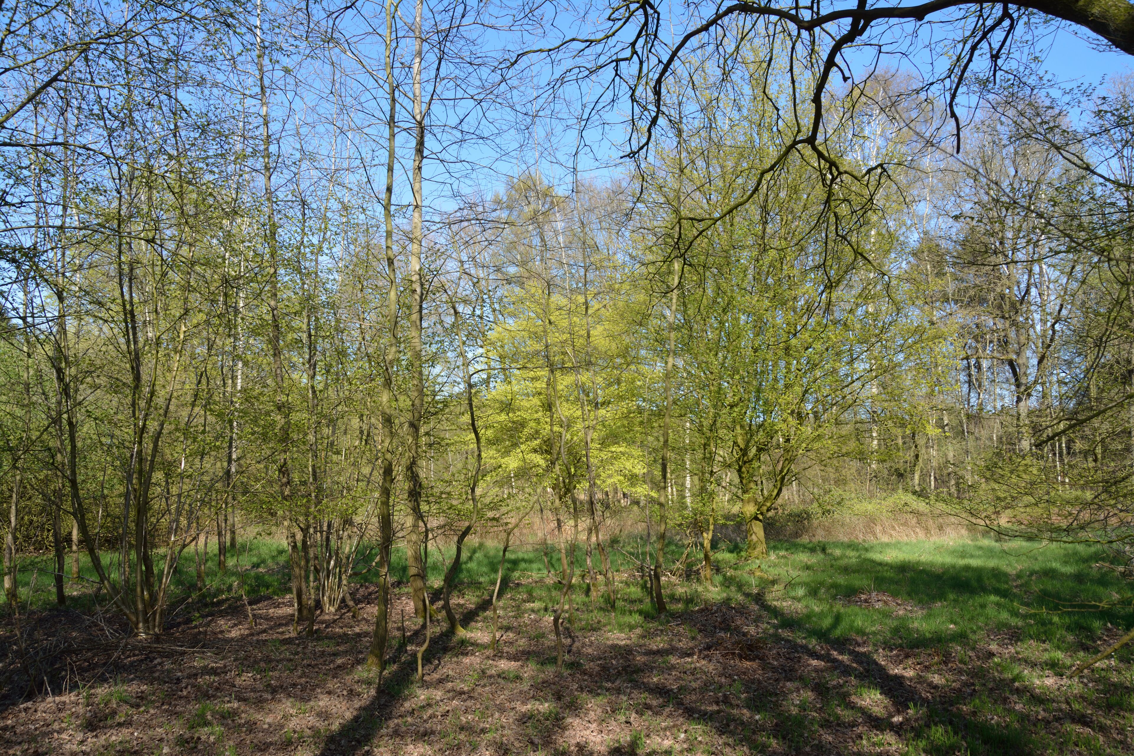 This is a picture of the protected area listed at WDPA under the ID