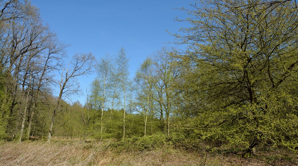 This is a picture of the protected area listed at WDPA under the ID