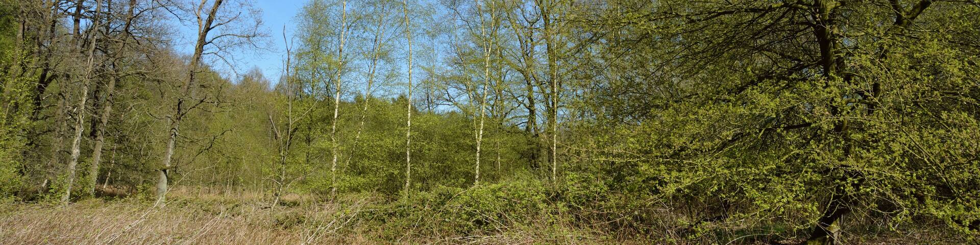 This is a picture of the protected area listed at WDPA under the ID