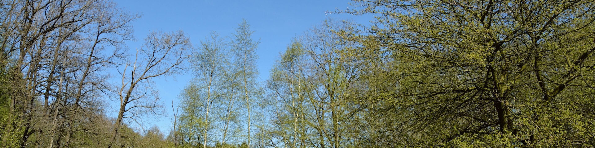 This is a picture of the protected area listed at WDPA under the ID