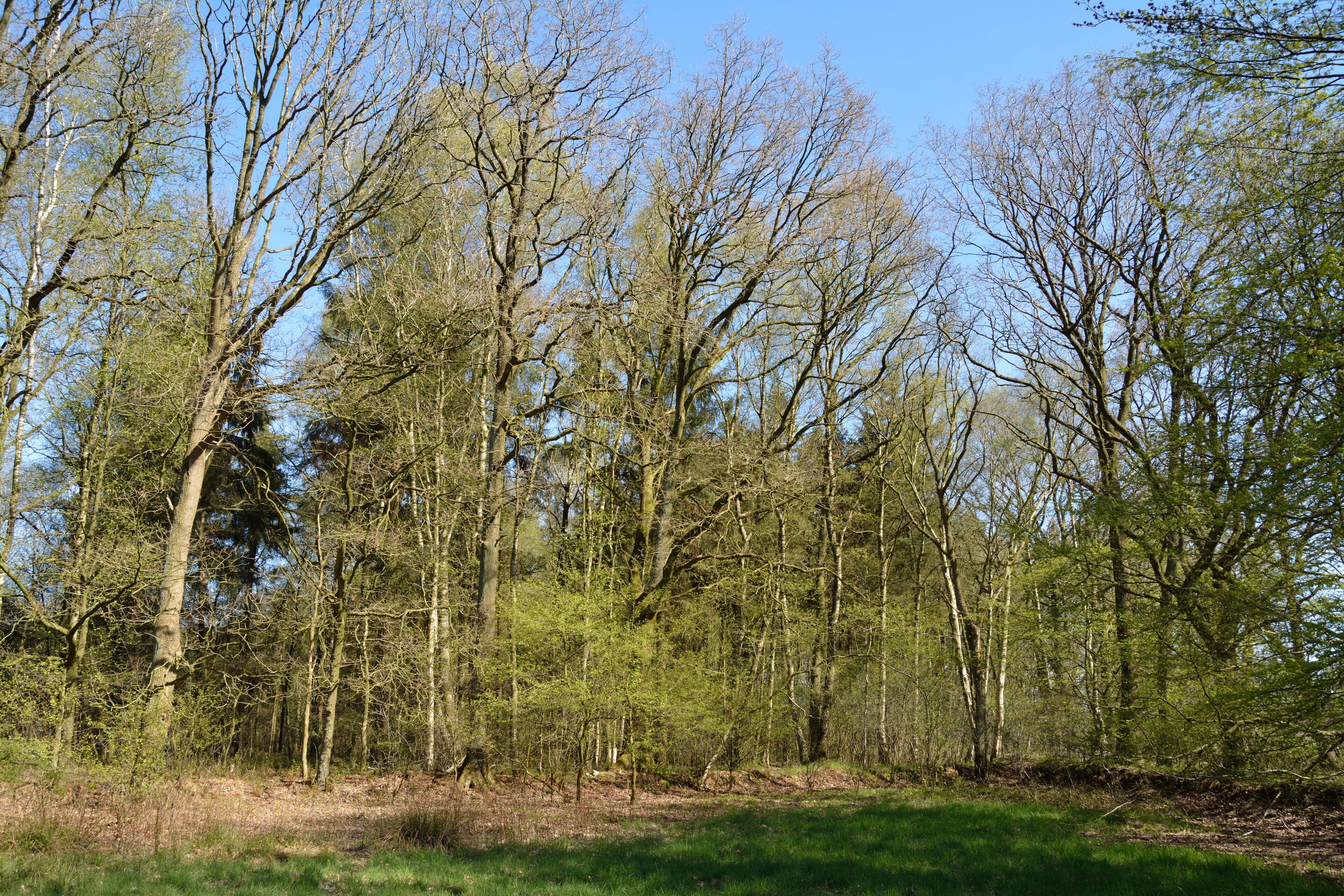 This is a picture of the protected area listed at WDPA under the ID