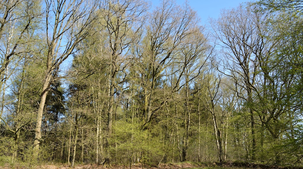 This is a picture of the protected area listed at WDPA under the ID