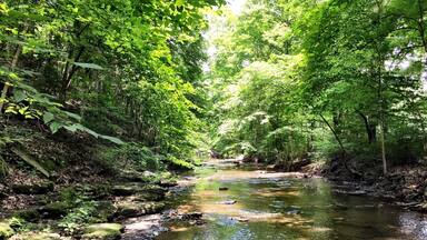 Creek hikes are the best hikes...