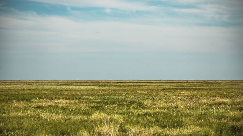 A vast grassy field under a clear sky.