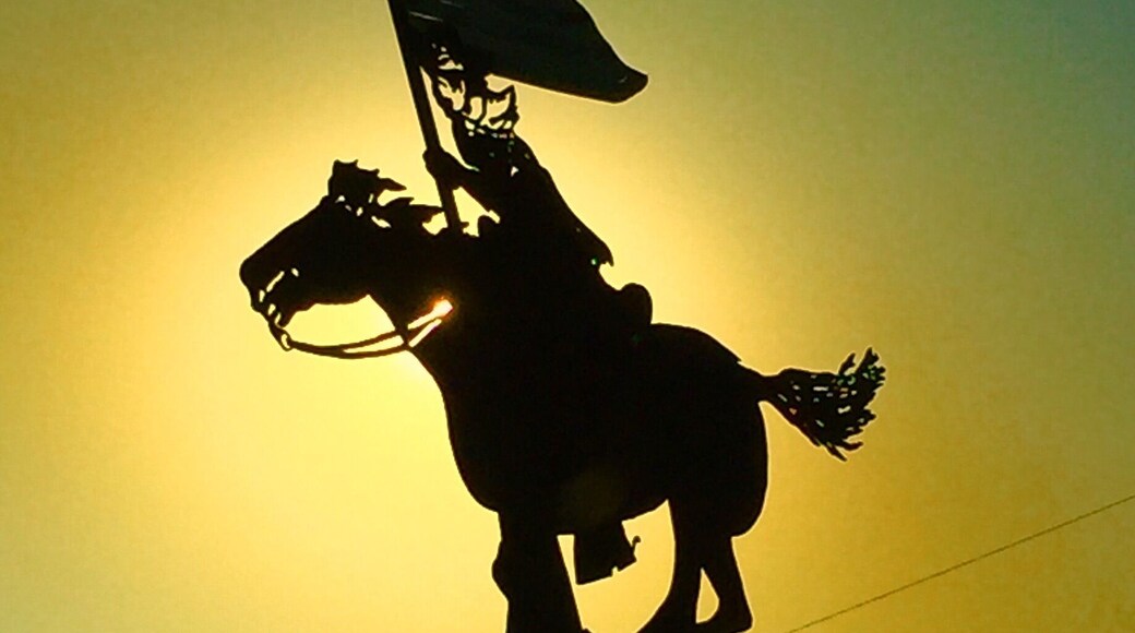 Travels across Texas