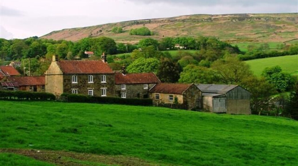 Seave Green. View from the B1257 towards the hamlet of Seave Green which is mostly concentrated on the far side of Bilsdale Beck. It is thought the name derives from Nicolas del Seves who is mentioned in the Lay Subsidy of 1301.