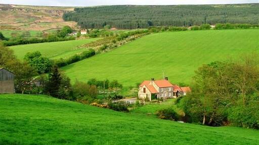 Upper Bilsdale. East Bank Plantation is in the distance on the east side of the dale. The cottage is un-named on the OS 1:25000 map.