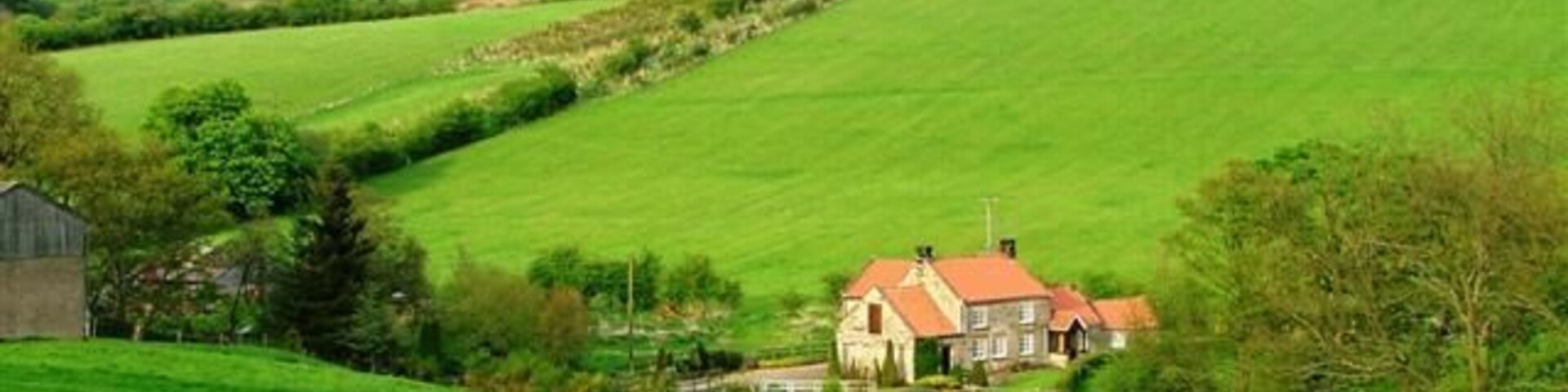 Upper Bilsdale. East Bank Plantation is in the distance on the east side of the dale. The cottage is un-named on the OS 1:25000 map.
