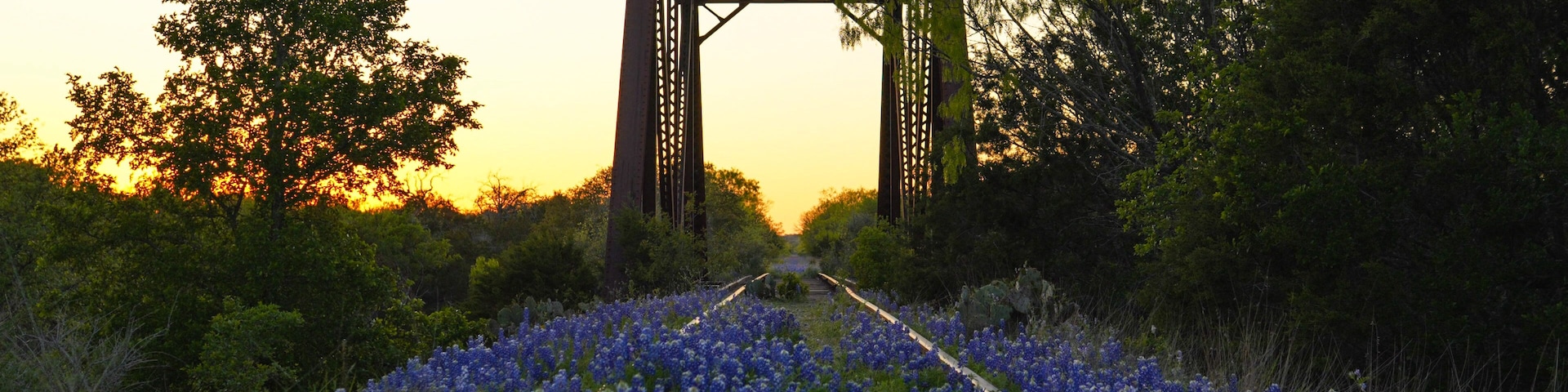Railroad track bridge lined with bluebonnets in Texas Hill Country