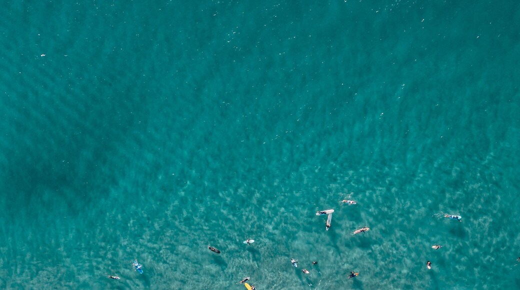 An aerial view of a beach with clear turquoise water, rocky formations, and people swimming and surfing.