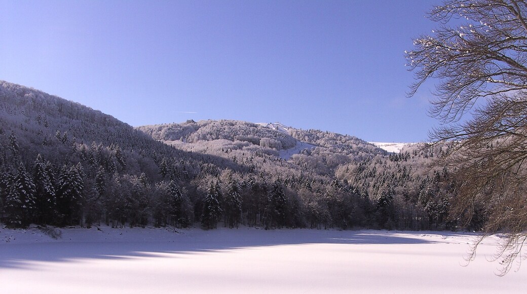 68610 Linthal, France