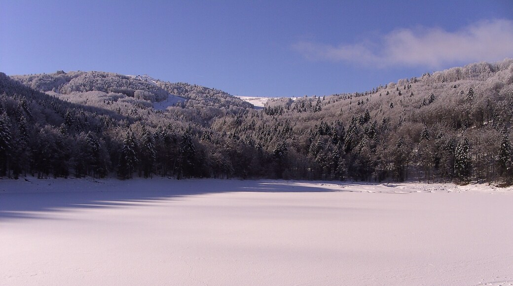 68610 Linthal, France