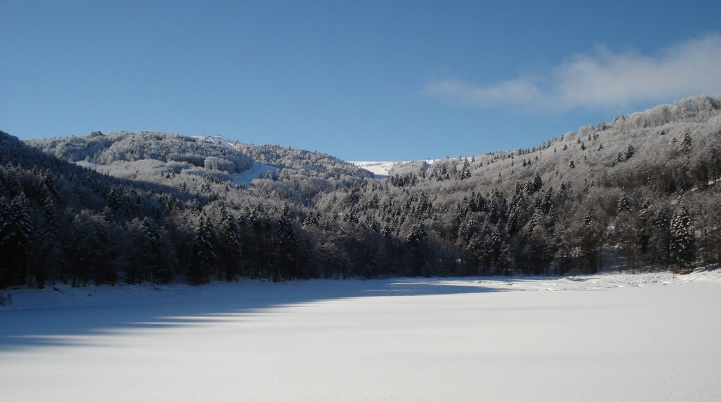 68610 Linthal, France