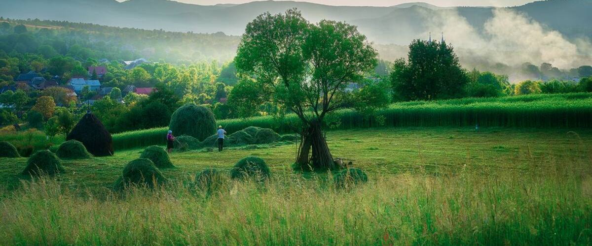 Breb, Maramures County is famed for its farms and wooden church. #green
I spent month in this village, read more: http://www.alwayswanderlust.com/a-month-in-breb-maramures-romania/