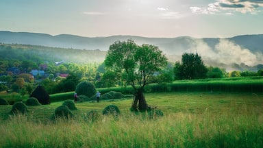 Paisaje rural con colinas onduladas, un árbol destacado, fardos de heno y un pueblo lejano.
