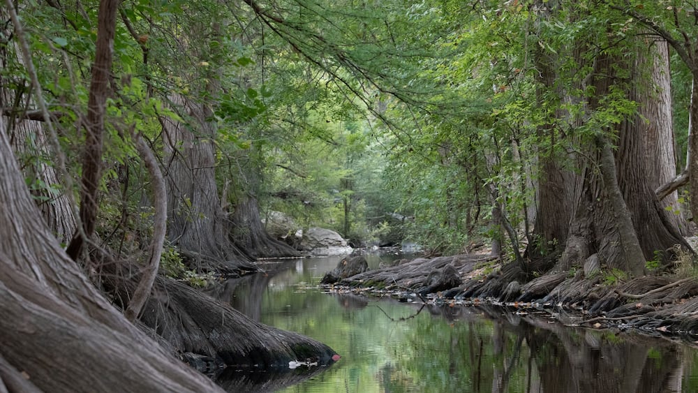 Cibolo Creek in Fall, Boerne, Texas