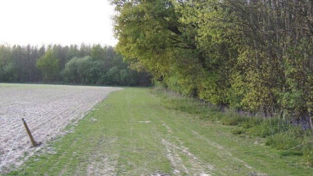 A rural landscape with a plowed field, a dirt path, and dense trees.