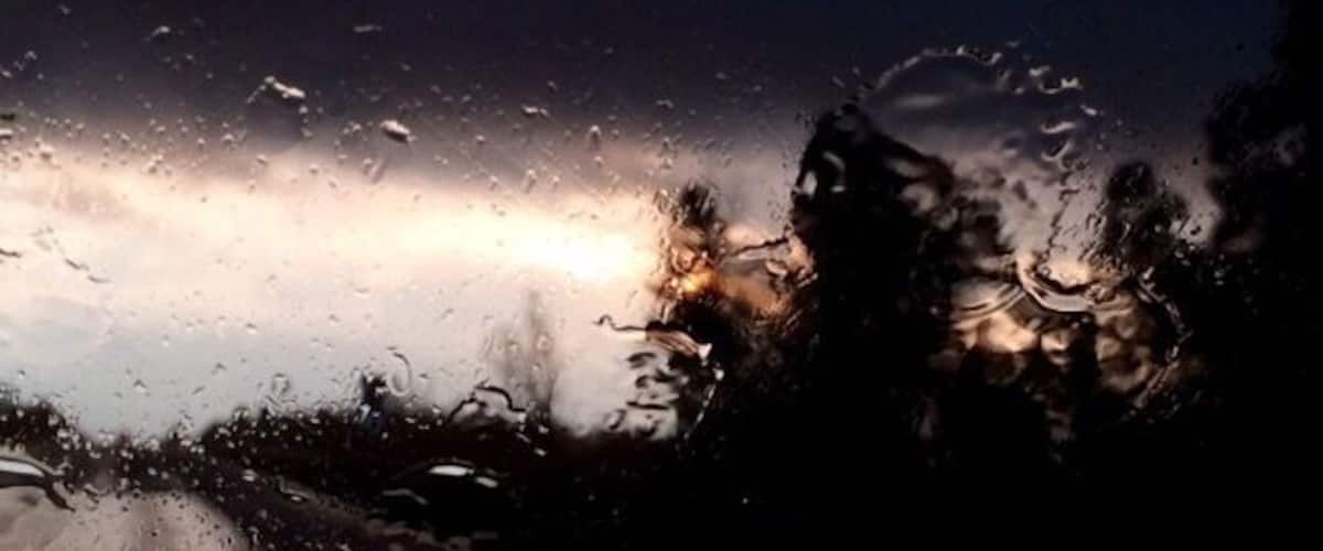 Raindrops on a window with a blurred view of trees and a road.