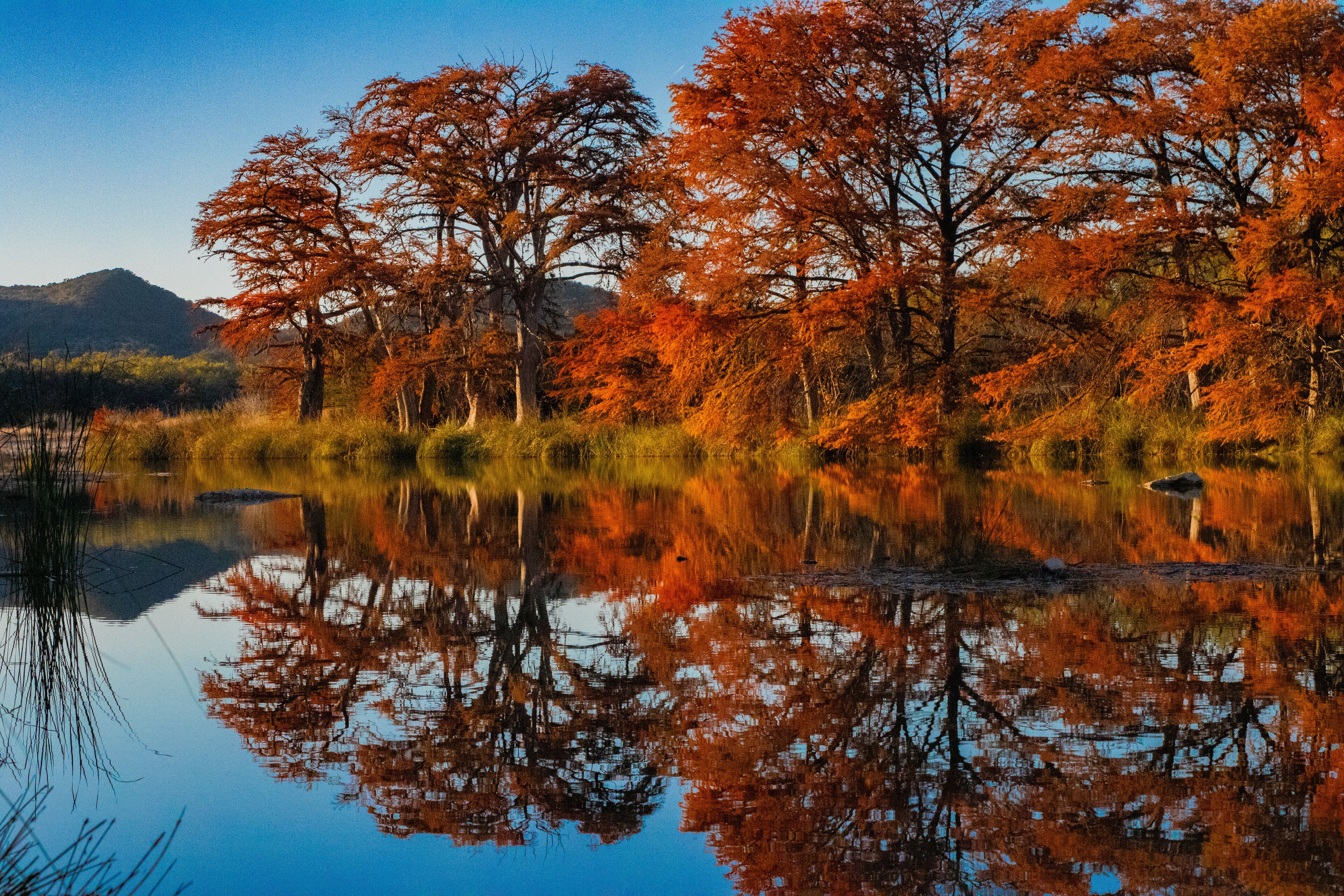 Fall Reflection in the Frio at Garner