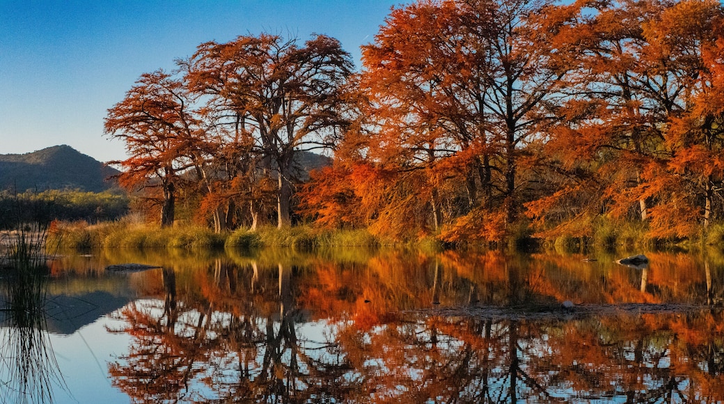 Fall Reflection in the Frio at Garner