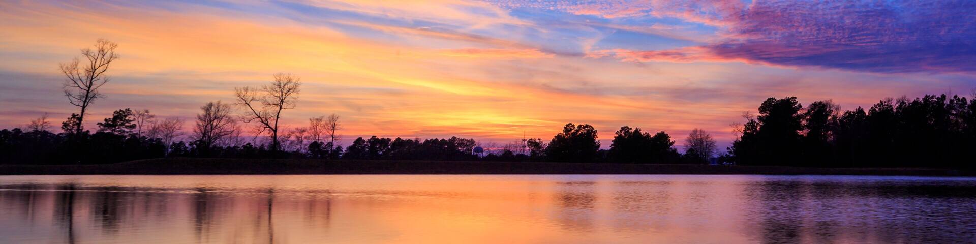 A Duck At Sunset