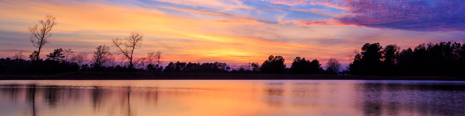 A Duck At Sunset