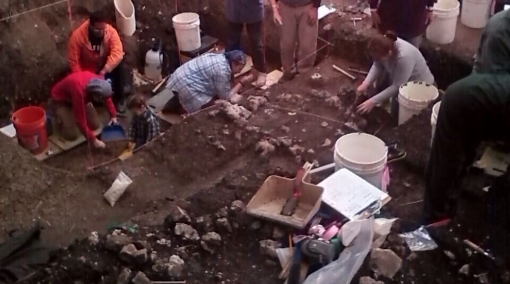 Have an interest in archaeology? The Gault Site in Florence, Texas is one of the largest and most important Clovis sites in the country. (And I got to dig there! I even found some incredibly ancient Clovis shards!)