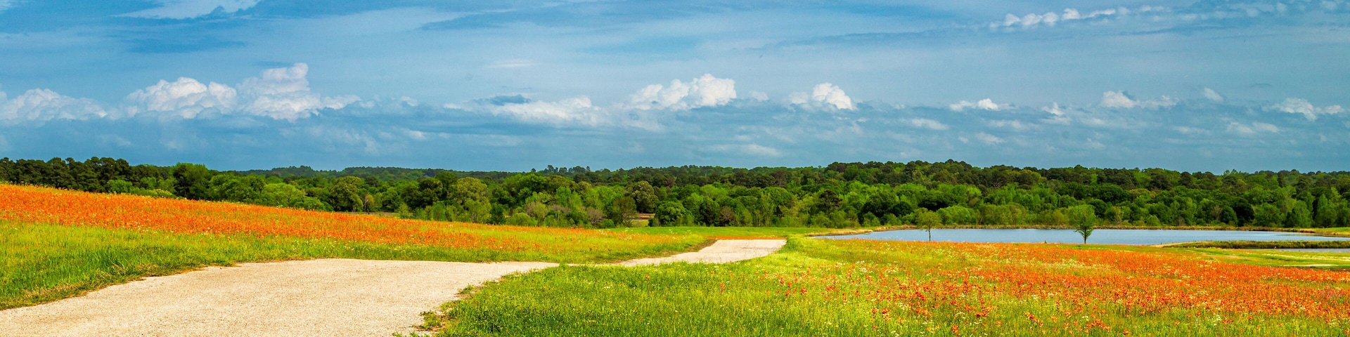 The Road To The Lake with paintbrush flowers and a cloudy blue sky