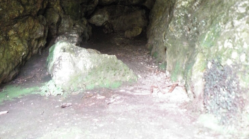 This building is classé au titre des Monuments Historiques. It is indexed in the Base Mérimée, a database of architectural heritage maintained by the French Ministry of Culture, under the reference PA00089988 .