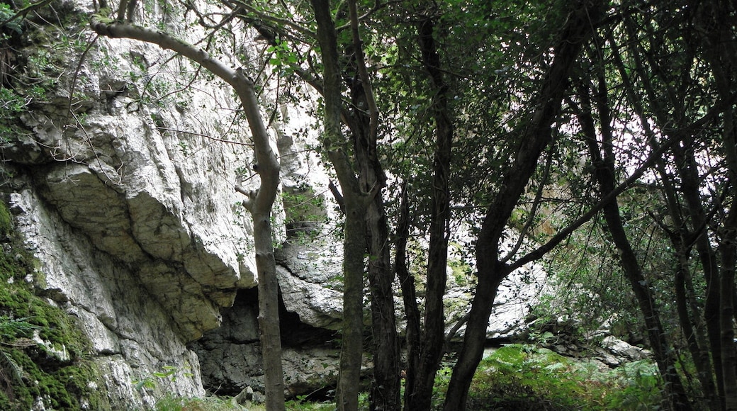 This building is classé au titre des Monuments Historiques. It is indexed in the Base Mérimée, a database of architectural heritage maintained by the French Ministry of Culture, under the reference PA00089988 .