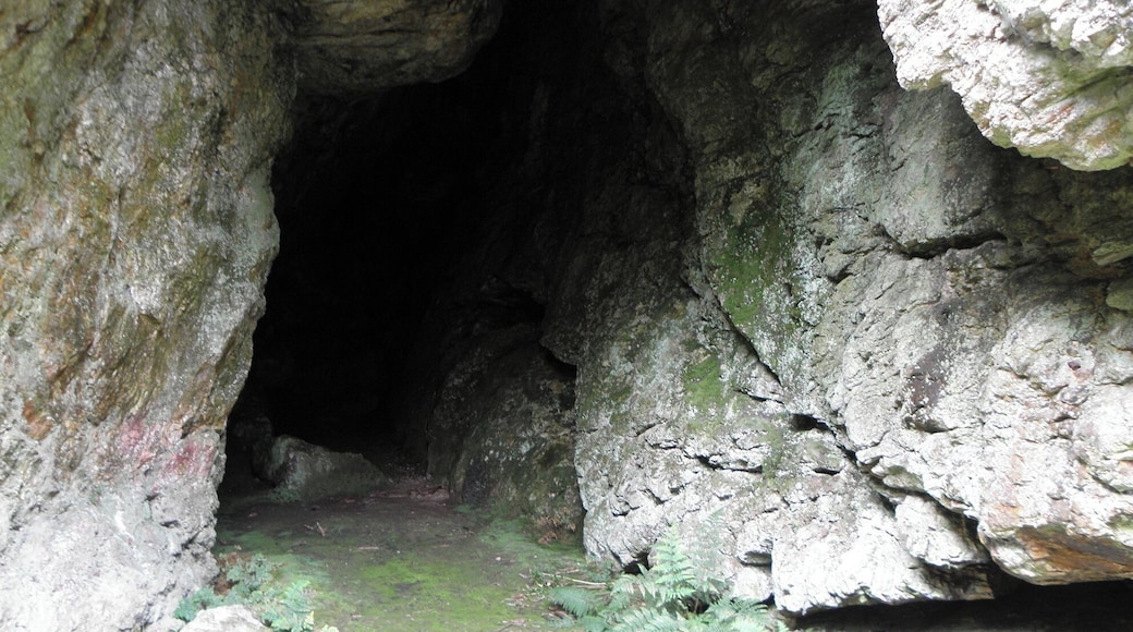 This building is classé au titre des Monuments Historiques. It is indexed in the Base Mérimée, a database of architectural heritage maintained by the French Ministry of Culture, under the reference PA00089988 .