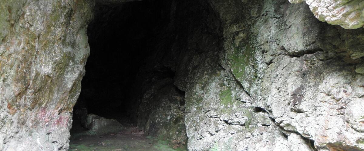 A cave entrance with rocky walls and moss-covered ground.