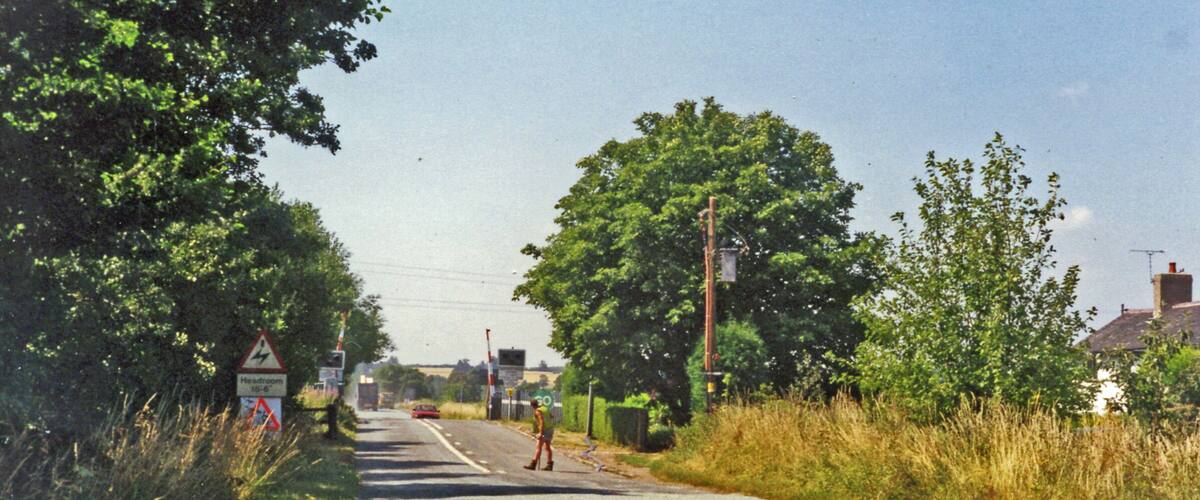 A rural road with a pedestrian crossing, a railway level crossing sign, and a large tree on the right.