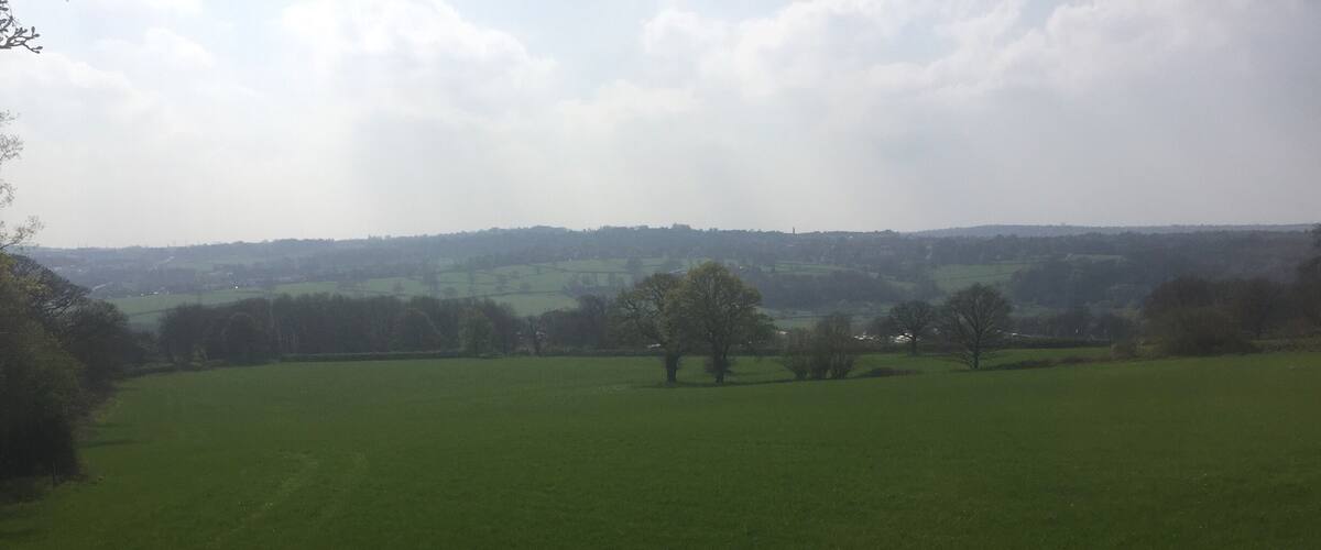 A green field with trees and a distant hill.