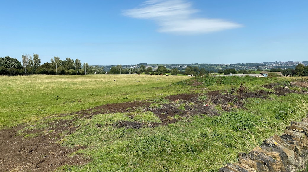 Landscape view, looking across from Priesthorpe Road, toward Horsforth, with fields, trees and houses, in the distance in, Calverley, Leeds, UK