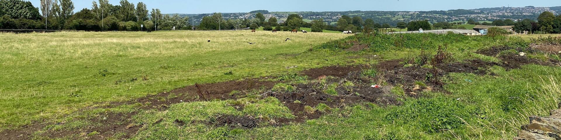 Landscape view, looking across from Priesthorpe Road, toward Horsforth, with fields, trees and houses, in the distance in, Calverley, Leeds, UK