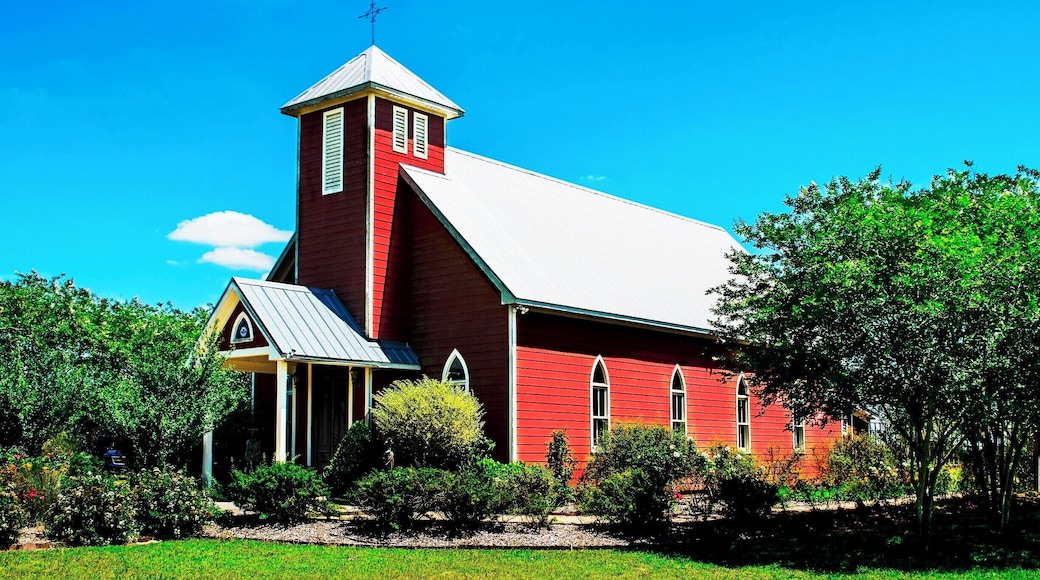 Had a walk around here was a nice place to take photos. The day turned it on for us as well #red