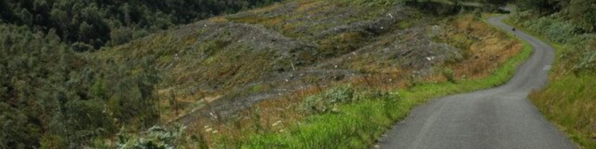 Road in the Dyfi Forest A steep road passing an area of clear fell in the Dyfi Forest.